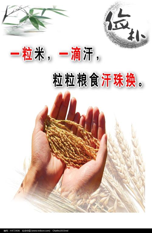科罗拉多州立大学证书